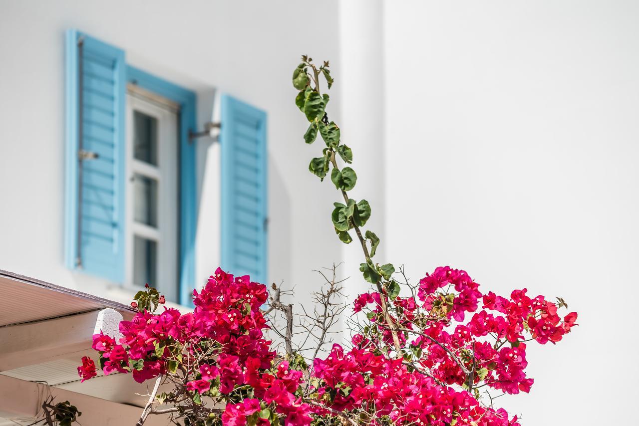 Capo Di Mykonos Resort Agios Ioannis Diakoftis Bagian luar foto
